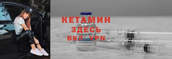 прущие грибы Бежецк