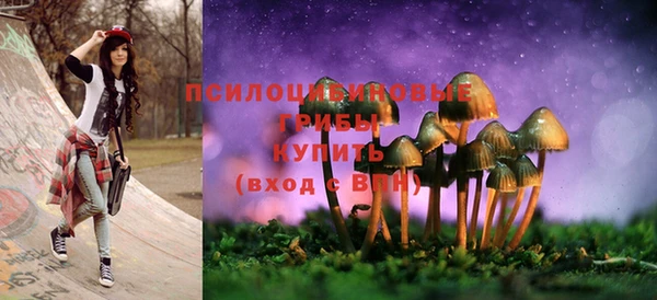 ешки Покров