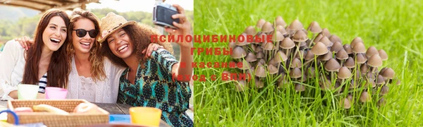 ешки Покров