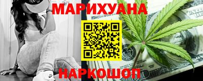 сатива Гай