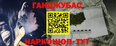 сатива Гай