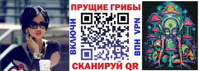 где можно купить   Балтийск  Псилоцибиновые грибы MAGIC MUSHROOMS 